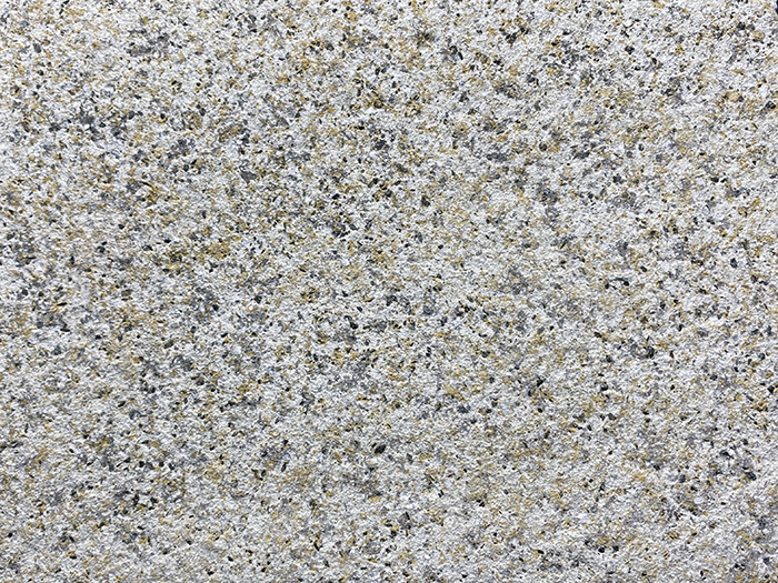 黄金麻27.jpg 黄金麻27.jpg